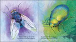 Oberste Brink Mein kleines Insektenbuch Loes Botman_23369 Mein kleines Insektenbuch Loes Botman von Oberste Brink enthält illustrierte Seiten mit einer blauen Fliege und durchsichtigen Flügeln auf der linken Seite und einem grünen Käfer auf einem Blatt auf der rechten Seite jeweils vor einem farbenfrohen Hintergr