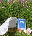 Parachutes