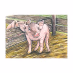 Ein junges rosafarbenes Ferkel steht auf Stroh an einem Holzzaun und schaut mit geneigtem Kopf hinaus wie auf dem Würfelpuzzle Bauernhoftiere von Goki zu sehen. Ein anderes Schwein ist teilweise hinter dem Zaun zu sehen.