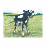 Ein junges schwarz-weißes Kalb steht in einem grasbewachsenen blühenden Feld mit Hügeln und Bäumen unter einem blauen Himmel wie es auf dem Goki Würfelpuzzle Bauernhoftiere abgebildet ist.
