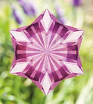 Die Leuchtende Fenstersterne Frédérique Guéret von Freies Geistesleben zeigt ein geometrisches sternförmiges Mandala mit lila und weißen Mustern zentriert auf einem verschwommenen grünen und lila Naturhintergrund.