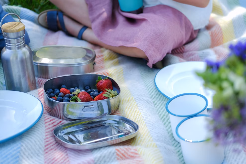RELAGS Brotdose aus Edelstahl oval 750 ml _30135 Eine Person sitzt auf einer gestreiften Picknickdecke mit einer RELAGS Brotdose aus Edelstahl oval 750 ml Erdbeeren Blaubeeren drei Emailletassen Tellern und einer Wasserflasche. Im Vordergrund sind Blumen zu sehen.