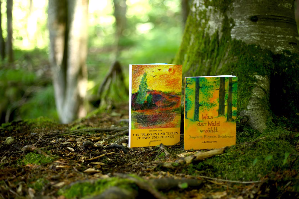 J. Ch. Mellinger Verlag Was der Wald erzählt _2807 Zwei Exemplare von "Was der Wald erzählt" aus dem J. Ch. Mellinger Verlag stehen aufrecht auf einem moosbewachsenen Waldboden zwischen Baumwurzeln und Grünzeug gebadet in Sonnenlicht das durch die Bäume fällt und eine friedliche Waldszene zeigt.