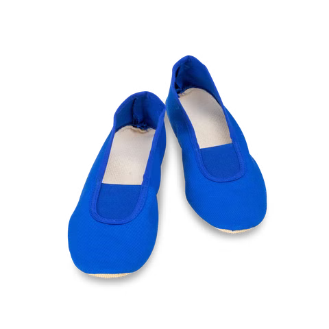 Chaussures Eurythmie Classic, bleu