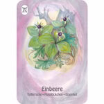 Jeu de cartes à jouer : Quatuor d'herbes sauvages