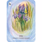 Jeu de cartes à jouer : Quatuor d'herbes sauvages