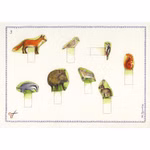 Forest craft folder