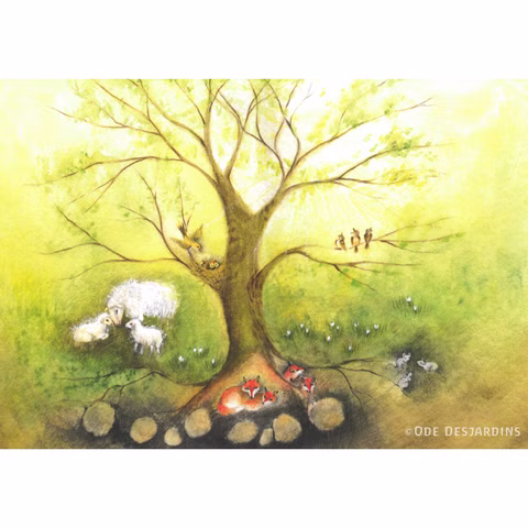 Kunstkaartenset Seasons, 4 stuks