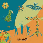 Binabo, 60 gettoni