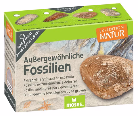 Mini excavation set Extraordinary fossils