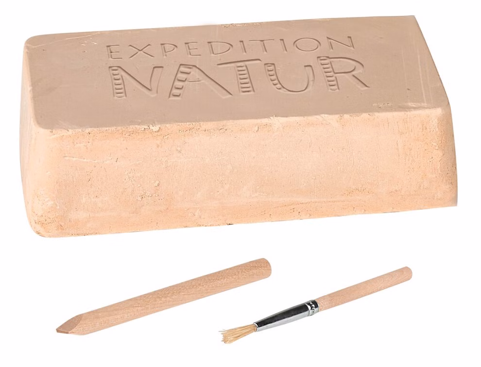 Mini excavation set Extraordinary fossils Mini excavation set Extraordinary fossils