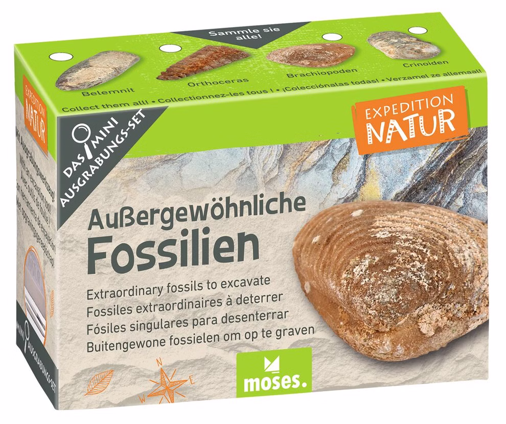Mini excavation set Extraordinary fossils Mini excavation set Extraordinary fossils