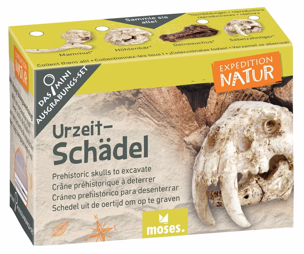 moses. Verlag Mini-Ausgrabungsset Urzeitschädel zum Sammeln und Staunen_24707 Das Mini-Ausgrabungsset Urzeitschädel zum Sammeln und Staunen vom moses. Verlag bietet Mini-Ausgrabungs-Sets prähistorischer Schädel zum Sammeln und Staunen an komplett mit Nachbildungen und mehrsprachigen Beschreibungen.