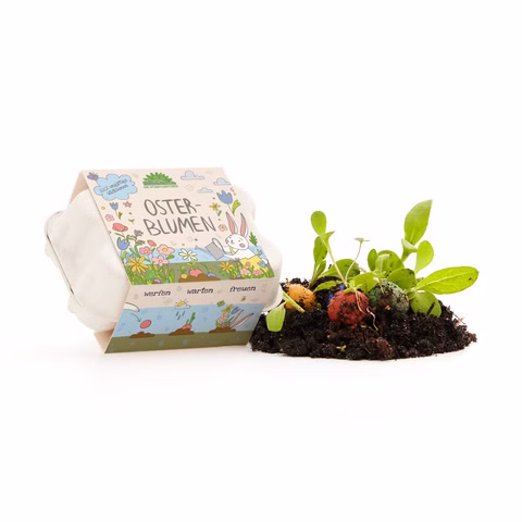 Canicas de flores para Pascua