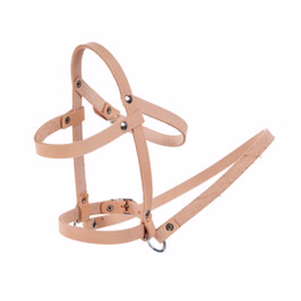 Jamso Design Lederhalfter für das Schaukelpferd Jolly_26682 Das Jamso Design Lederhalfter für das Schaukelpferd Jolly ist ein hellbraunes Lederhalfter mit Metallnieten und verstellbaren Riemen das so gefertigt ist dass es sicher auf dem Schaukelpferd Jolly sitzt und einfach an einem Führstrick befestigt werden kann