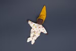 Waldorf pop Nini, zonneschijn Waldorf pop Nini, zonneschijn