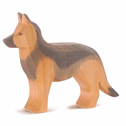 Ostheimer Chien de berger