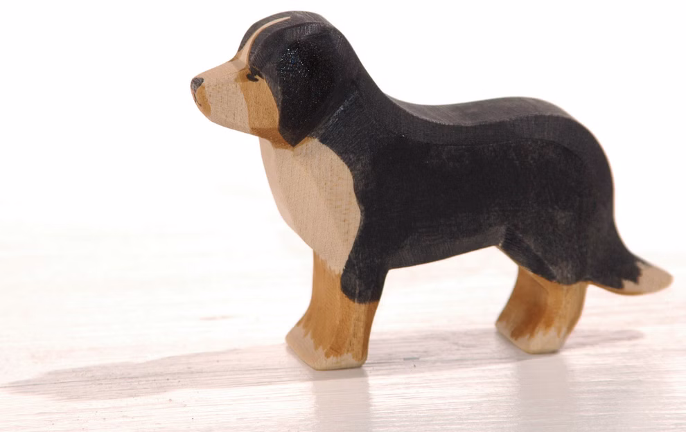 Bernese Mountain Dog Bernese Mountain Dog