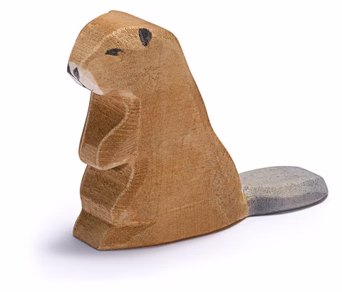 Beaver sitting
