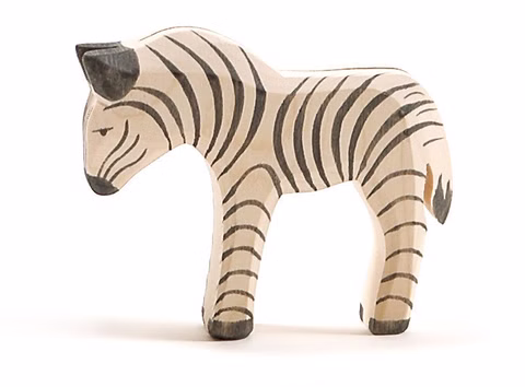 Zebra piccola