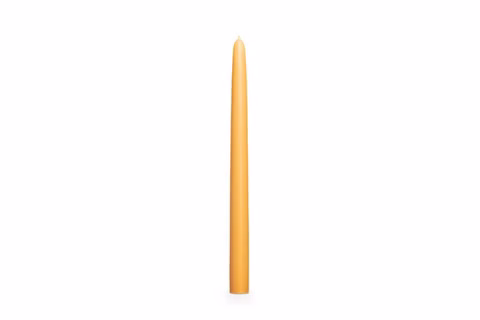 Vela cónica de cera de abeja, 30 cm, Ø 2,4 cm