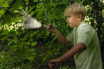 moses. Verlag Expedition Natur Outdoor Allroundlicht _29964 Ein blonder Junge im hellgrünen Hemd untersucht mit einer Lupe Blätter in einem sonnenbeschienenen Wald beleuchtet von der Expedition Natur Outdoor Allroundlicht aus dem moses. Verlag.