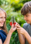 De grote doos met experimenten met kristallen