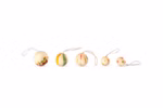 Decorazioni per l'albero di Natale "Wonder Balls