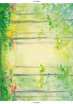Der Bewegliches Elfenbild Bastelbogen vom Waldow Verlag zeigt eine aquarellierte Waldszene mit hohen Bäumen grünem Laub und bunten Blumen auf der linken Seite. Die helle Mitte schafft eine Lichtung die sich perfekt zum Hinzufügen eines eigenen Textes oder 
