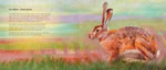 Oberste Brink Von den Wiesentieren Loes Botman_30351 Ein realistisches Gemälde mit dem Titel "Von den Wiesentieren Loes Botman" von Oberste Brink zeigt einen braunen Hasen der im grünen Gras hockt mit großen Ohren und vor einem pastellfarbenen Sonnenuntergangshimmel. Der deutsche Text steht auf der linken Se