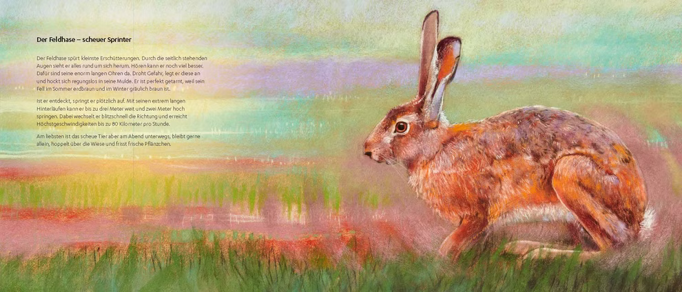 Oberste Brink Von den Wiesentieren Loes Botman_30351 Ein realistisches Gemälde mit dem Titel "Von den Wiesentieren Loes Botman" von Oberste Brink zeigt einen braunen Hasen der im grünen Gras hockt mit großen Ohren und vor einem pastellfarbenen Sonnenuntergangshimmel. Der deutsche Text steht auf der linken Se