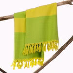 Organic cotton beach towel, coloured  green