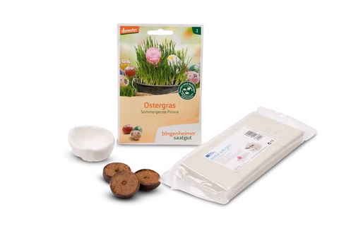 Set creativo Erba di Pasqua