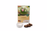 Kreativset Ostergras | Waldorfshop