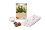 Kreativset Ostergras | Waldorfshop