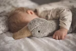 Kuscheltier Gans groß, grau Kuscheltier Gans groß | grau