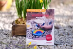 Waldorfshop Magazine 2025 Waldorfshop Magazine 2025