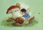 Urachhaus Postkartenbuch »Klaus Sausebraus« Daniela Drescher_31971 Eine Fee mit Flügeln und wirrem Haar beugt sich über eine große Eichel unter einem Pilz dazu gesellen sich eine Schnecke und Herbstblätter. Sanfte Grüntöne bestimmen die Szenerie im Postkartenbuch "Klaus Sausebraus" von Daniela Drescher aus Urachhaus.