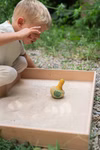 Pájaro amarillo en movimiento