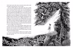 Eine Schwarz-Weiß-Illustration aus der Ronja Räubertochter Schmuckausgabe des Oetinger Verlags zeigt ein Mädchen an einem hohen Baum in der Nähe eines Baches wobei das Sonnenlicht durch den dichten Wald fällt und Lilien auf dem Wasser schwimmen.