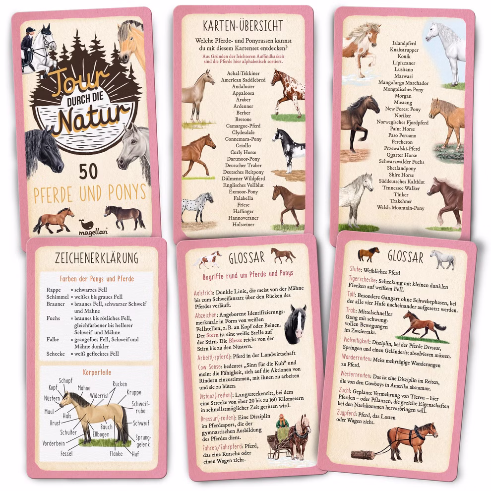 Tour durch die Natur - 50 Pferde und Ponys Tour durch die Natur - 50 Pferde und Ponys