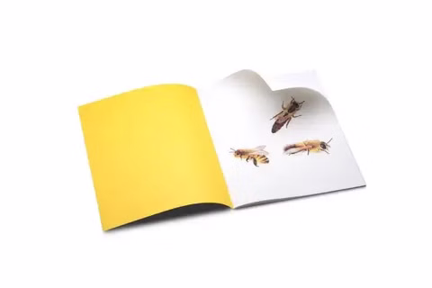 Libretto vuoto Le api vanno a scuola