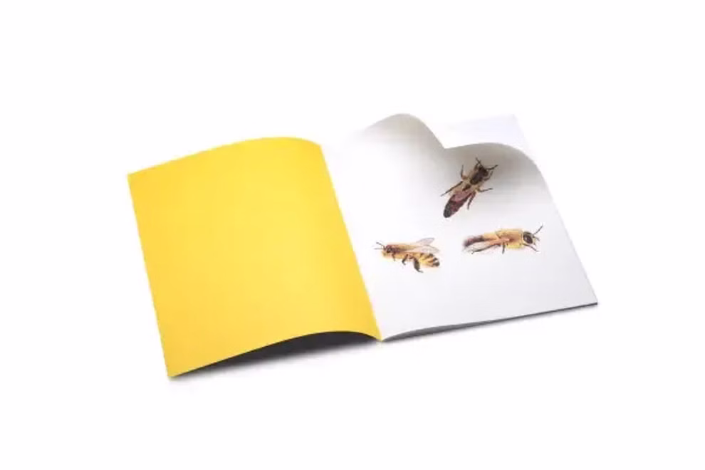 Blankoheft Bienen machen Schule Blankoheft Bienen machen Schule