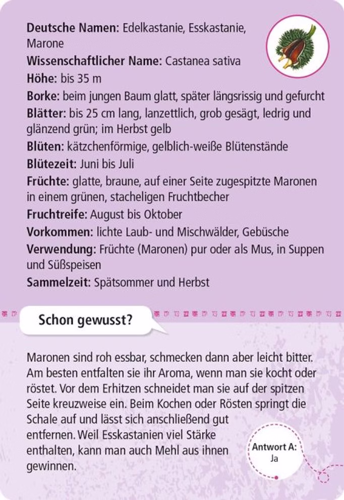 Expedition Natur 50 essbare Wildpflanzen Expedition Natur 50 essbare Wildpflanzen