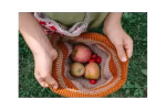 Mandala halve bollen Mandala halve bollen