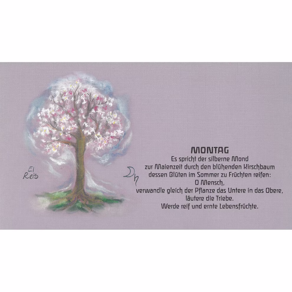 LebensWerkGemeinschaft Tischkalender Baumsprüche _1842 Ein pastellfarbener Kirschbaum mit weißen und rosafarbenen Blüten auf hellem Lila ziert den LebensWerkGemeinschaft Tischkalender Baumsprüche. Ein deutscher Text und eine Unterschrift auf der rechten Seite erwähnen den Kirschbaum und den Montag.