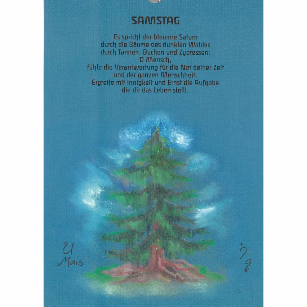 LebensWerkGemeinschaft Wandkalender Baumsprüche _1844 Die Zeichnung eines leuchtenden immergrünen Baumes steht auf grünem Gras unter blauem Himmel. Der "Wandkalender Baumsprüche" der LebensWerkGemeinschaft enthält einen deutschen Text über den Samstag und seine Bedeutung mit Symbolen und Zahlen in den Ecken.
