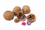 Überraschungsnüsse 10