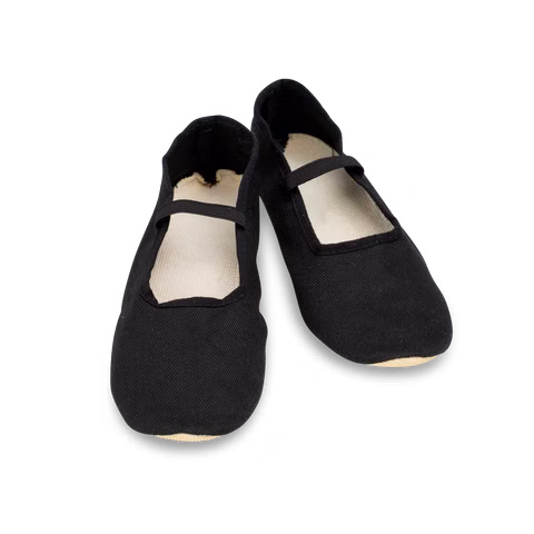 Euritmie schoenen standaard, zwart