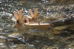 Kraul Forelle - Schiffsbausatz Bausatz_14325 Der Kraul Forelle - Schiffsbausatz Bausatz ist ein kleines handgefertigtes hölzernes Paddelboot mit zwei großen Rädern das auf dem klaren Wasser schwimmt und sanfte Wellen und Spiegelungen im Sonnenlicht erzeugt.